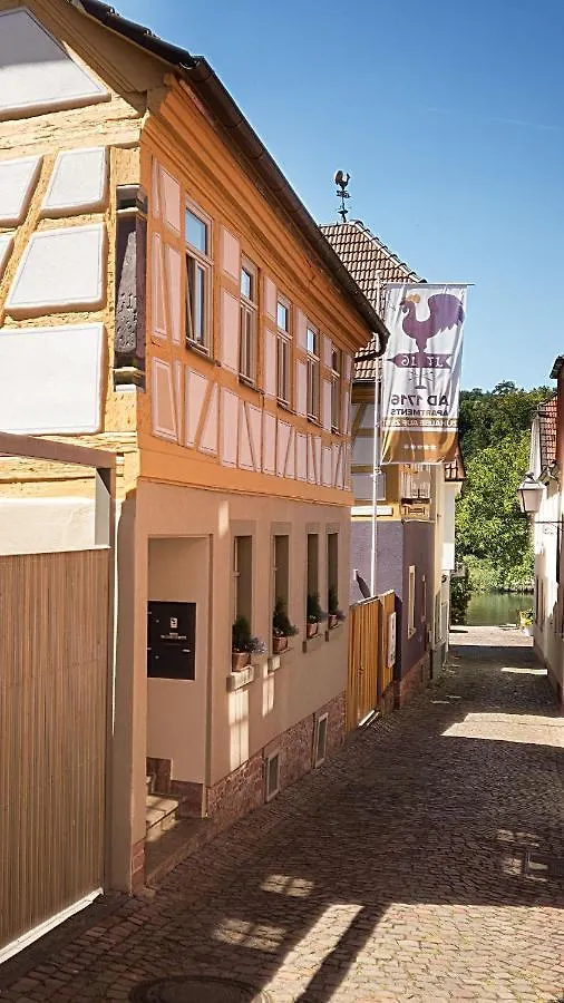 Apartman Tennenboden-Komfort-Dz-Die-Ehemalige-Tenne-In-Der-Hofstallung Marktheidenfeld